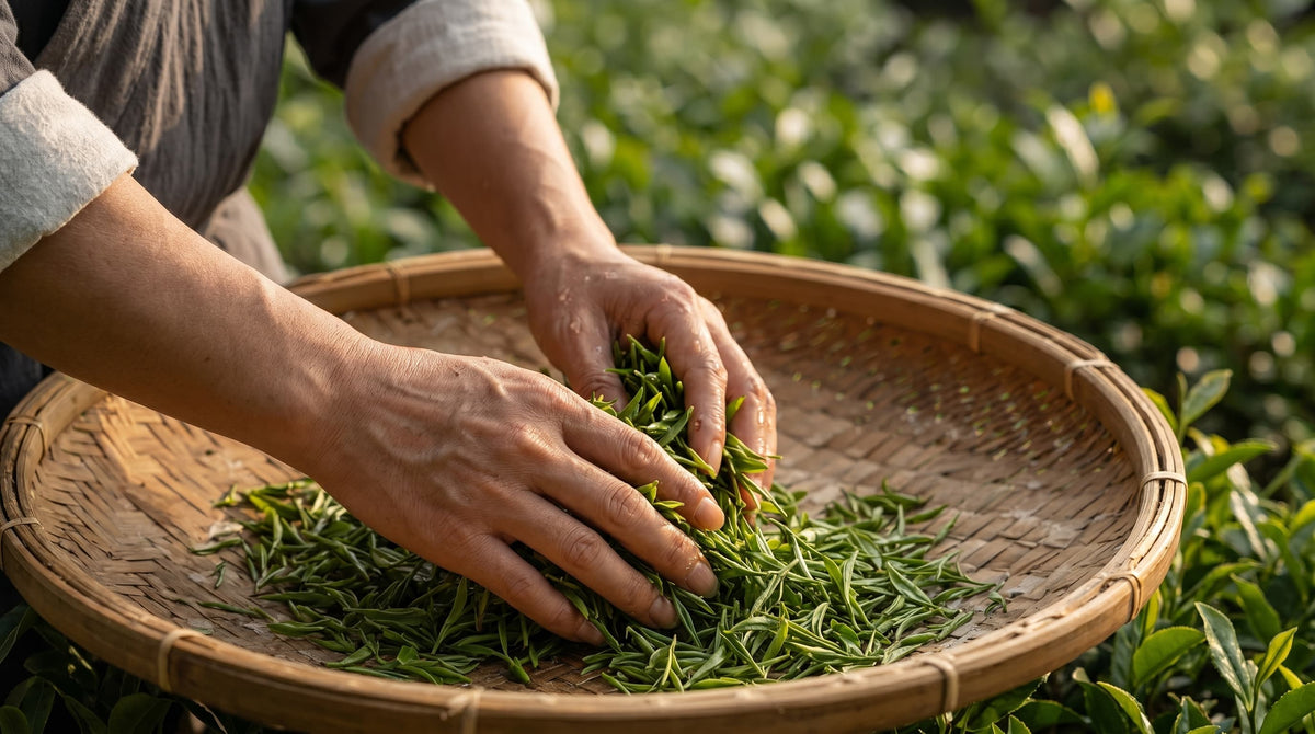 From Leaf to Cup: The Artistry Behind Exceptional Teaware